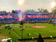 Foto: Barra: La Banda del Parque • Club: Nacional • País: Uruguay