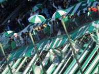 Foto: Barra: La Banda del Sur • Club: Banfield • País: Argentina