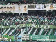 Foto: Barra: La Banda del Sur • Club: Banfield