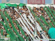 Foto: Barra: La Banda del Sur • Club: Banfield • País: Argentina