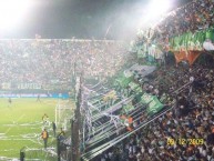 Foto: Barra: La Banda del Sur • Club: Banfield • País: Argentina