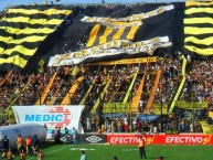 Foto: Barra: La Banda Monstruo • Club: Almirante Brown