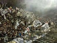 Foto: "LBDO 12 en el Bosque de Para UNO" Barra: La Barra 79 • Club: Olimpia • País: Paraguay