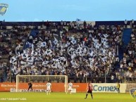 Foto: Barra: La Demencia • Club: Celaya