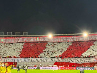 Foto: Barra: La Guardia Albi Roja Sur &bull; Club: Independiente Santa Fe &bull; País: Colombia
