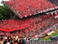 Foto: Barra: La Hinchada Más Popular • Club: Newell's Old Boys • País: Argentina