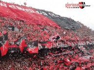 Foto: Barra: La Hinchada Más Popular • Club: Newell's Old Boys • País: Argentina