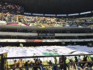 Foto: Barra: La Monumental • Club: América • País: México