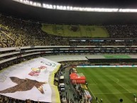 Foto: "Centenario   1916-2016" Barra: La Monumental • Club: América • País: México