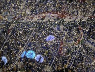 Foto: Barra: La Pandilla de Liniers • Club: Vélez Sarsfield • País: Argentina