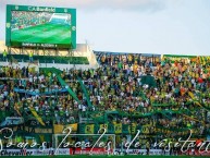 Foto: Barra: La Pesada del Puerto • Club: Aldosivi