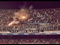 Foto: Barra: La Peste Blanca • Club: All Boys