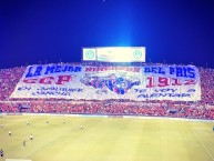 Foto: "Telón" Barra: La Plaza y Comando • Club: Cerro Porteño • País: Paraguay