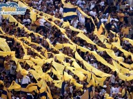 Foto: Barra: La Rebel • Club: Pumas