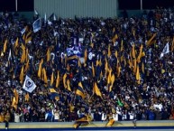 Foto: "La Rebel en la final de vuelta Pumas vs Tigres" Barra: La Rebel • Club: Pumas • País: México