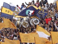 Foto: "Club Atlético Los Rebels de la Canción - Orquesta de Pumas" Barra: La Rebel • Club: Pumas • País: México