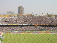 Foto: Barra: La Rebel • Club: Pumas • País: México