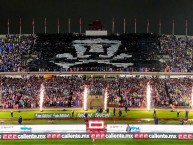 Foto: Barra: La Rebel &bull; Club: Pumas