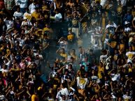 Foto: Barra: La Rebel • Club: Pumas