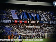 Foto: Barra: La Resistencia Albiazul • Club: Querétaro