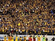 Foto: Barra: Libres y Lokos • Club: Tigres • País: México