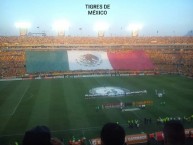 Foto: "Tigres vs Inter de Porto Alegre - Semifinal Copa Libertadores 2015" Barra: Libres y Lokos • Club: Tigres • País: México