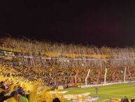 Foto: Barra: Libres y Lokos • Club: Tigres