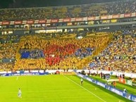 Foto: Barra: Libres y Lokos • Club: Tigres • País: México