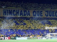 Foto: "LA HINCHADA QUE JUEGA" Barra: Libres y Lokos • Club: Tigres • País: México