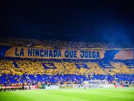 Foto: "la hinchada que juega" Barra: Libres y Lokos &bull; Club: Tigres
