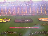 Foto: "Somos Amazonas, Somos las de La U - Final de la Liga Mx Femenil" Barra: Libres y Lokos &bull; Club: Tigres &bull; País: México