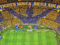 Foto: "Tigres nunca juega solo" Barra: Libres y Lokos &bull; Club: Tigres