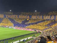 Foto: "Tigres nunca juega solo" Barra: Libres y Lokos &bull; Club: Tigres