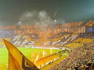 Foto: "Con la garra de los Tigres" Barra: Libres y Lokos &bull; Club: Tigres &bull; País: México