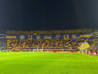 Foto: Barra: Libres y Lokos &bull; Club: Tigres