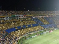 Foto: Barra: Libres y Lokos • Club: Tigres • País: México