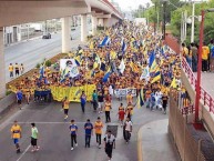 Foto: Barra: Libres y Lokos • Club: Tigres