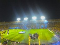 Foto: "vs Pumas Final" Barra: Libres y Lokos • Club: Tigres