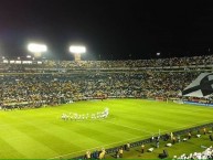 Foto: "Homenaje a la Chape" Barra: Libres y Lokos • Club: Tigres • País: México