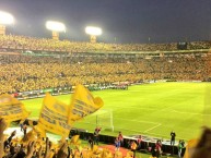 Foto: "Campeón del Apertura 2016 contra América" Barra: Libres y Lokos • Club: Tigres