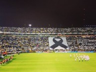 Foto: "Homenaje a Chapecoense" Barra: Libres y Lokos • Club: Tigres • País: México