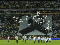 Foto: "Homenaje a Chapecoense" Barra: Libres y Lokos • Club: Tigres • País: México