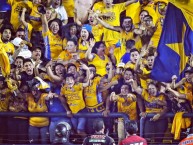 Foto: Barra: Libres y Lokos • Club: Tigres • País: México