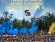 Foto: Barra: Los del Cerro • Club: Everton de Viña del Mar