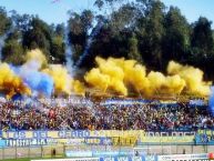 Foto: Barra: Los del Cerro • Club: Everton de Viña del Mar • País: Chile