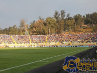 Foto: Barra: Los del Cerro • Club: Everton de Viña del Mar