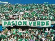 Foto: Barra: Los del Sur • Club: Atlético Nacional • País: Colombia