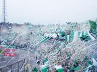 Foto: Barra: Los del Sur • Club: Atlético Nacional