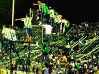 Foto: Barra: Los del Sur • Club: Atlético Nacional • País: Colombia