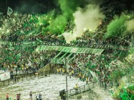 Foto: Barra: Los del Sur • Club: Atlético Nacional